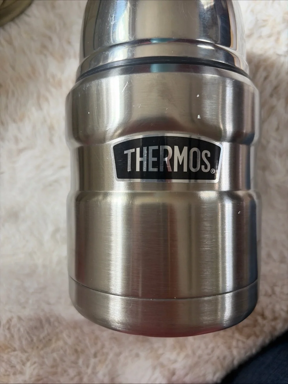 Thermos Stainless Steel Food Jar in Brushed Silver
